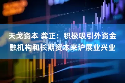 天戈资本 龚正：积极吸引外资金融机构和长期资本来沪展业兴业