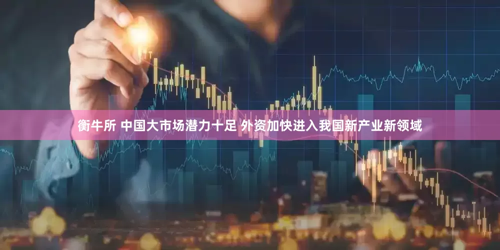 衡牛所 中国大市场潜力十足 外资加快进入我国新产业新领域