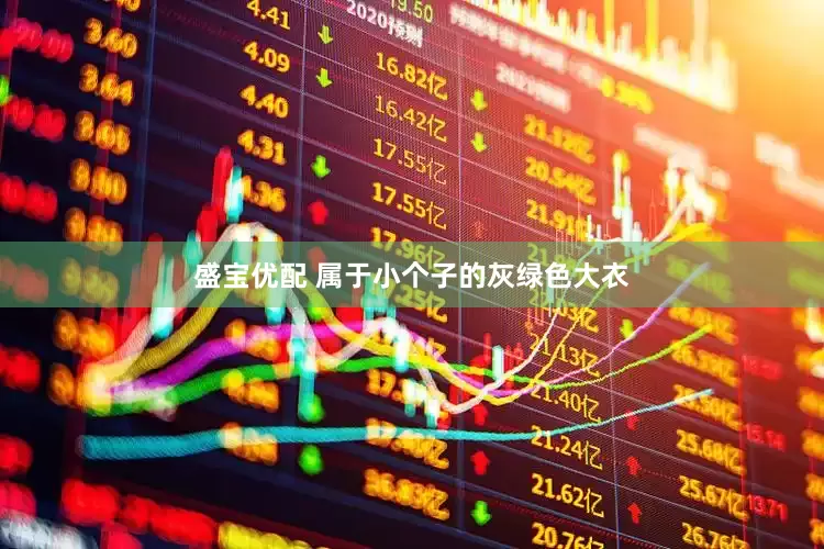 盛宝优配 属于小个子的灰绿色大衣
