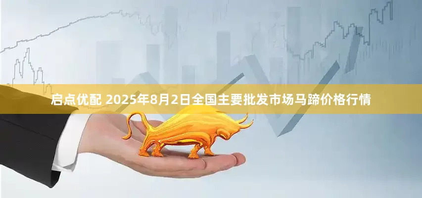 启点优配 2025年8月2日全国主要批发市场马蹄价格行情